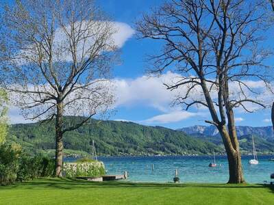 Chalet kaufen in 4863 Seewalchen (Bild 2)