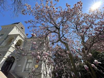 Gewerbeobjekt mieten in 6020 Innsbruck (Bild 5)