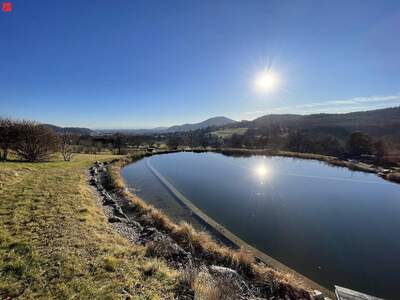 Anlageobjekt kaufen in 8046 Graz