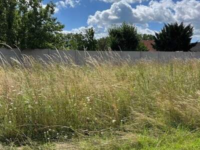 Grundstück kaufen in 2263 Dürnkrut (Bild 5)