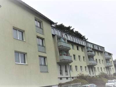 Wohnung mieten in 2754 Waldegg