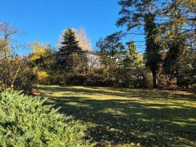 Grundstück kaufen in 2102 Klein (Bild 3)