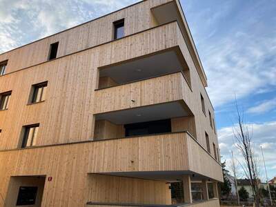 Wohnung provisionsfrei mieten in 6850 Dornbirn