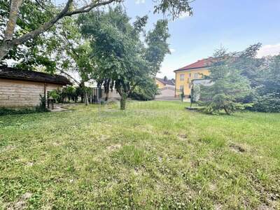 Haus kaufen in 2291 Lassee