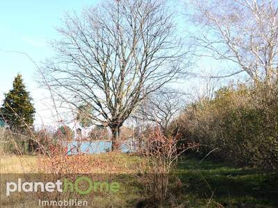 Einfamilienhaus kaufen in 7061 Trausdorf (Bild 5)