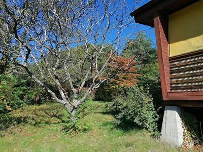 Grundstück kaufen in 8342 Maierdorf (Bild 3)