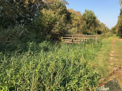 Grundstück kaufen in 2433 Margarethen (Bild 1)