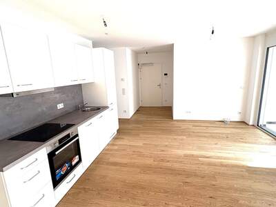 Terrassenwohnung mieten in 1030 Wien (Bild 1)