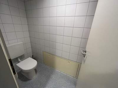 Gewerbeobjekt kaufen in 8724 Spielberg (Bild 5)