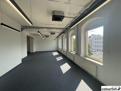 Gewerbeobjekt mieten in 1100 Wien (Bild 5)