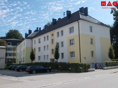 Wohnung mieten in 4780 Schärding Innere Stadt