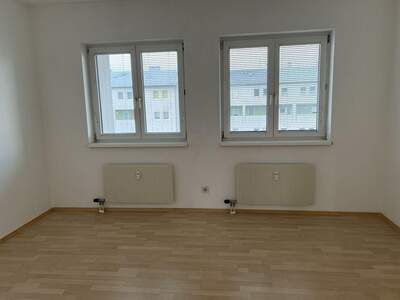 Wohnung mieten in 4470 Enns (Bild 4)
