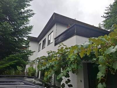 Haus kaufen in 2632 Grafenbach