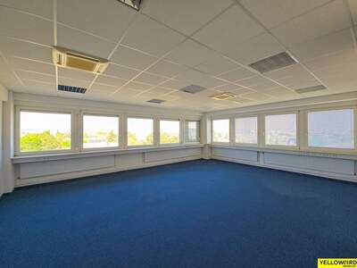 Gewerbeobjekt mieten in 1230 Wien (Bild 1)