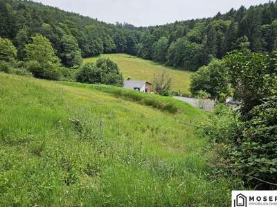 Grundstück kaufen in 8075 Hart (Bild 1)