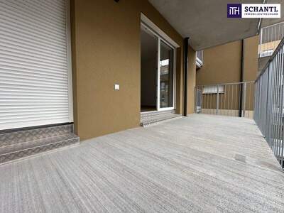 Terrassenwohnung mieten in 8401 Kalsdorf (Bild 4)