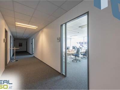 Gewerbeobjekt mieten in 4020 Linz (Bild 4)