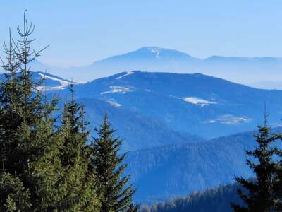 Wohnung kaufen in 9571 Sirnitz (Bild 4)