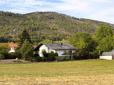 Haus kaufen in 2732 Willendorf
