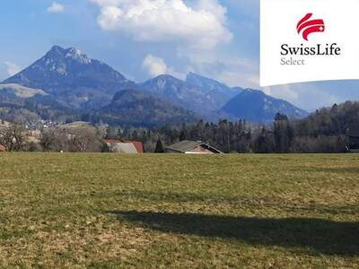 Grundstück kaufen in 5322 Hof