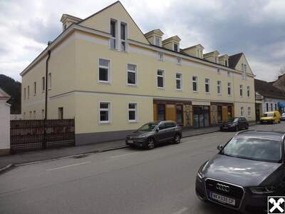 Gewerbeobjekt mieten in 2870 Aspang (Bild 2)