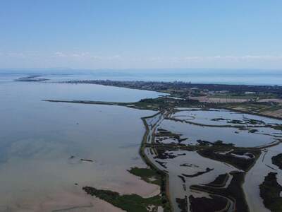 Haus mit Garten kaufen in 33050 Aprilia Marittima (Bild 5)