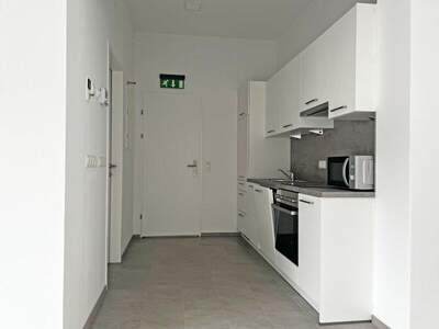 Einzelhandel mieten in 3013 Tullnerbach (Bild 3)