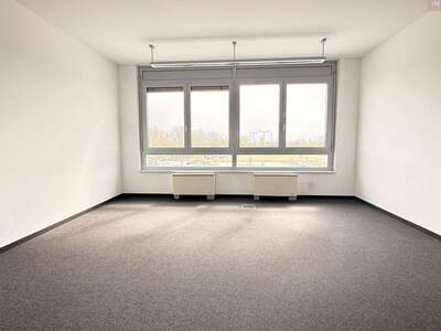 Gewerbeobjekt mieten in 2320 Schwechat (Bild 5)