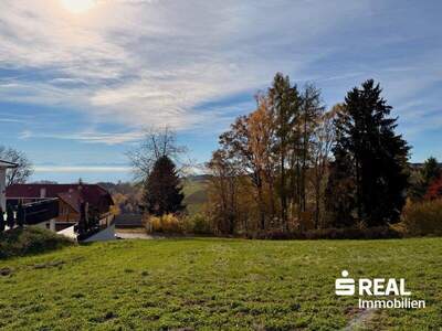 Grundstück kaufen in 4040 Lichtenberg (Bild 1)