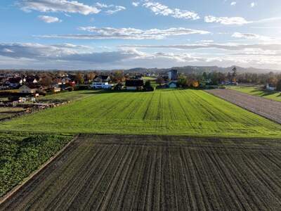 Grundstück kaufen in 8490 Bad Radkersburg (Bild 2)