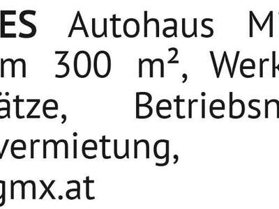 Gewerbeobjekt kaufen in 2130 Mistelbach