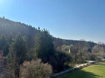 Wohnung kaufen in 8043 Graz (Bild 4)