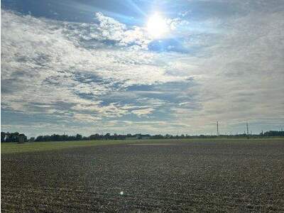 Mehrfamilienhaus kaufen in 4064 Oftering (Bild 5)