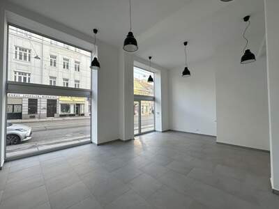 Gewerbeobjekt mieten in 1190 Wien (Bild 1)