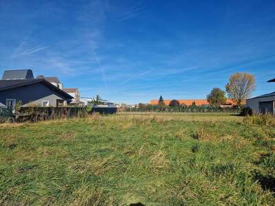 Grundstück kaufen in 3441 Judenau