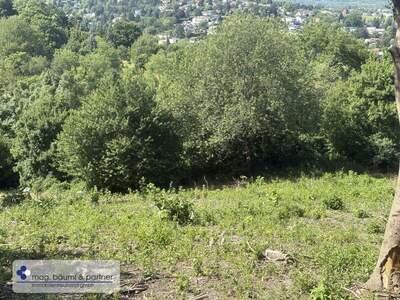 Grundstück kaufen in 3400 Klosterneuburg (Bild 4)