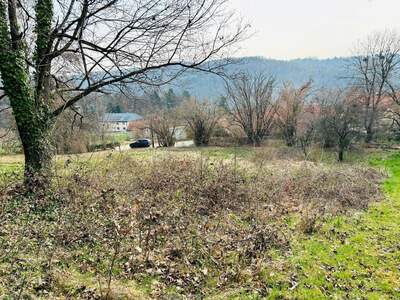 Grundstück kaufen in 8044 Graz (Bild 3)