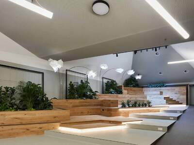 Gewerbeobjekt mieten in 1100 Wien (Bild 4)