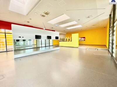 Gewerbeobjekt mieten in 2320 Schwechat (Bild 5)