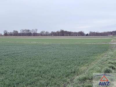 Gewerbeobjekt kaufen in 2263 Dürnkrut