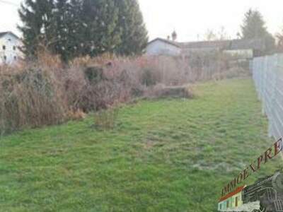 Grundstück kaufen in 4702 Wallern (Bild 3)