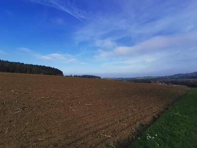 Grundstück kaufen in 3351 Weistrach