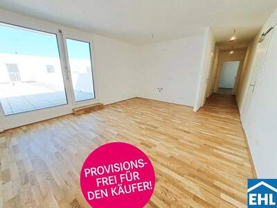 Terrassenwohnung kaufen in 1210 Wien (Bild 1)