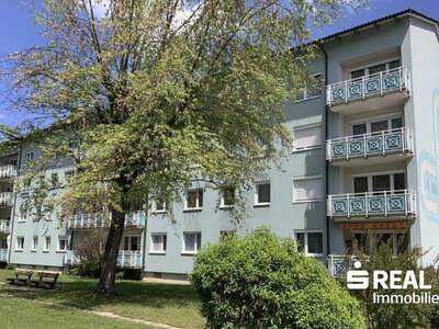 Terrassenwohnung kaufen in 4840 Vöcklabruck (Bild 1)