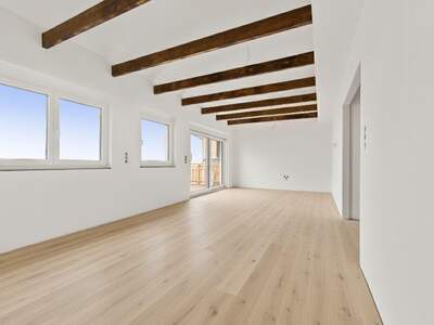 Haus kaufen in 4040 Neulichtenberg (Bild 3)