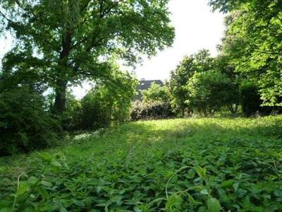 Grundstück kaufen in 4760 Raab