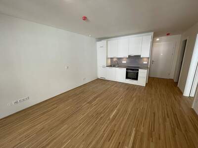 Wohnung kaufen in 1220 Wien