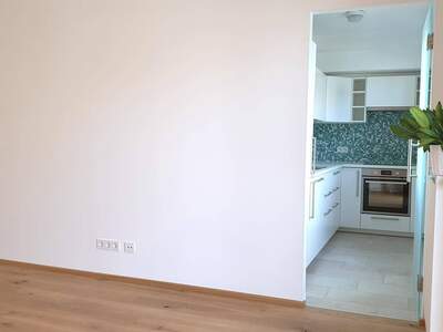 Wohnung provisionsfrei mieten in 1190 Wien