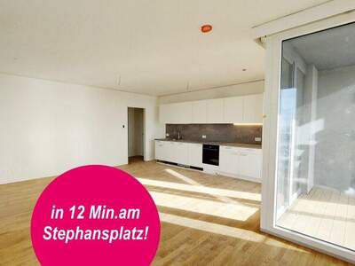 Terrassenwohnung mieten in 1220 Wien (Bild 1)