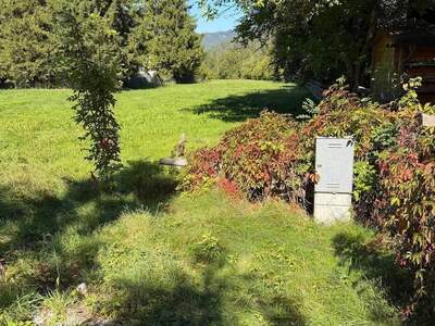 Grundstück kaufen in 3195 Kernhof